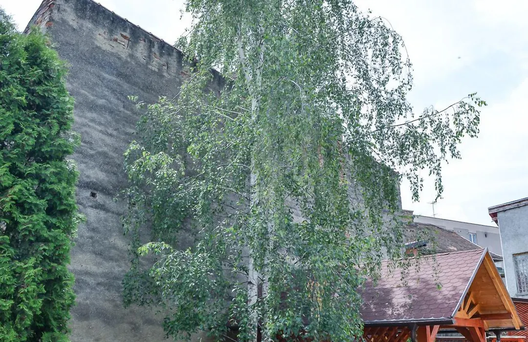 Pensiunea Kronstadt-1